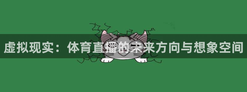 雨燕360足球直播