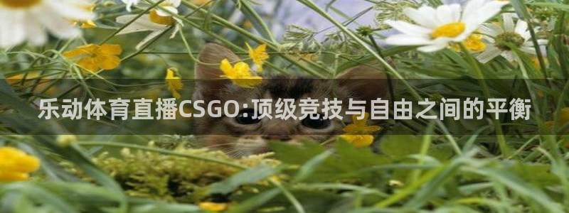 足球360直播：乐动体育直播CSGO:顶级竞技与自由之间的平衡
