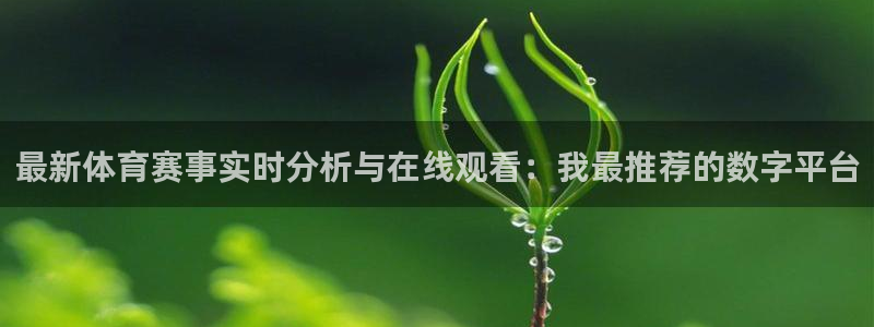 雨燕360体育赛事直播：最新体育赛事实时分析与在线观看：我最推荐的数字平台