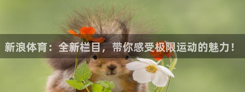 360直播网体育直播：新浪体育：全新栏目，带你感受极限运动的魅力！